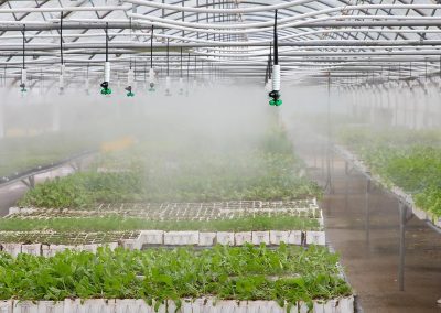 SRM – Système d’arrosage par micro-aspersión